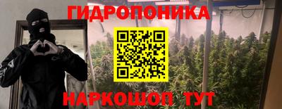 не бодяженный Кузнецк