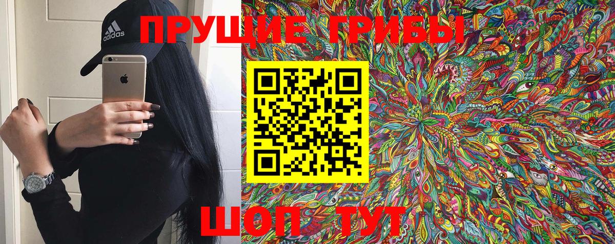 Галлюциногенные грибы GOLDEN TEACHER Гурьевск