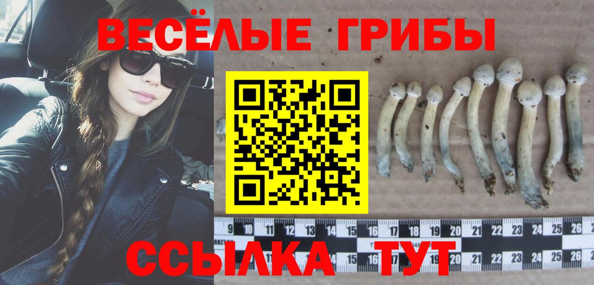 Галлюциногенные грибы прущие грибы  Псилоцибиновые грибы прущие грибы  Гурьевск  Вход с VPN 